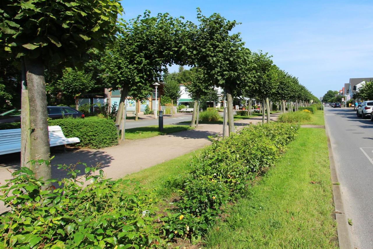 Ferienhus Baabe Fewo 01 Terrasse, Sauna- Und Schwimmbadnutzung Im Ahoi Sellin ภายนอก รูปภาพ